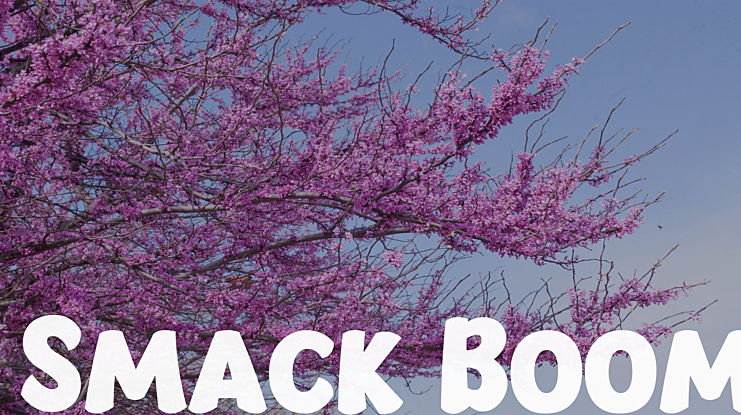 Smack Boom Font Family