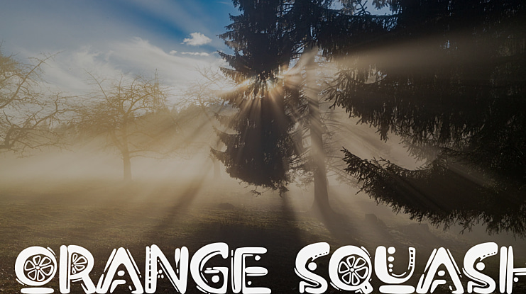 Orange Squash Font
