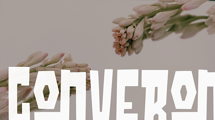 Converon Font