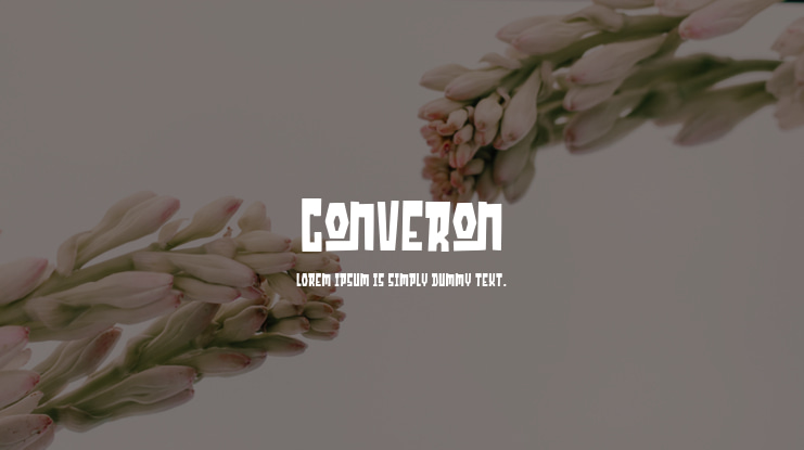 Converon Font