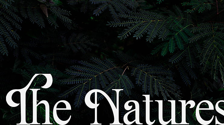 The Natures Font