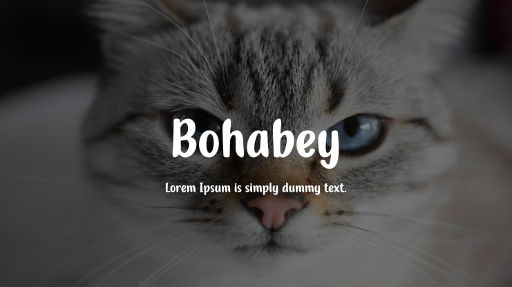 Bohabey Font Family