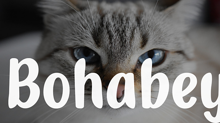 Bohabey Font Family