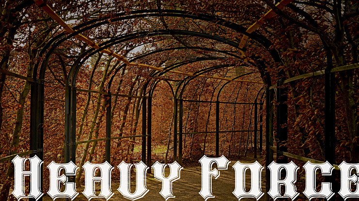 Heavy Force Font