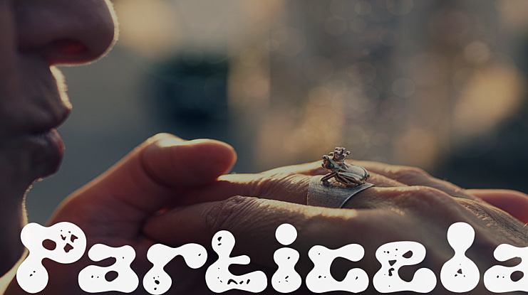 Particela Font