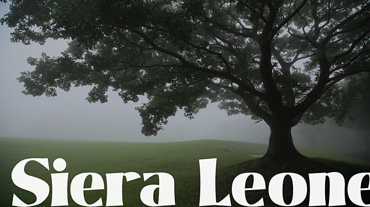 Siera Leone Font