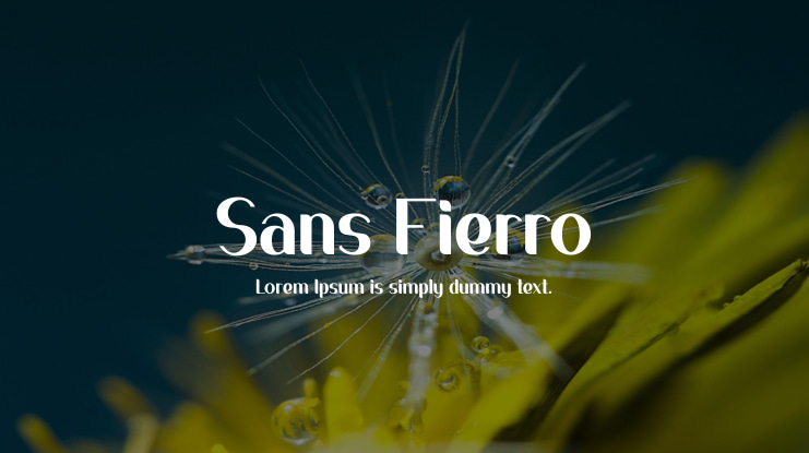 Sans Fierro Font