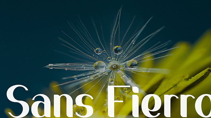 Sans Fierro Font