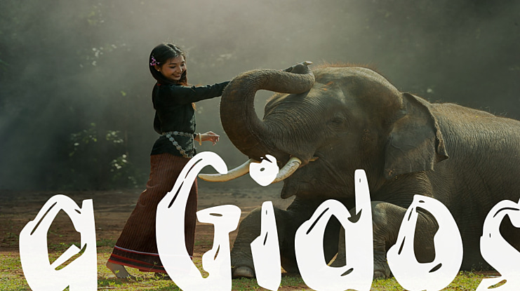 g Gidos Font