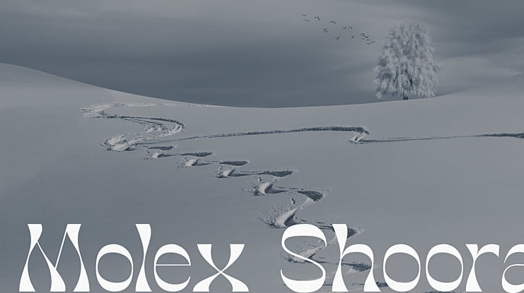 Molex Shoora Font