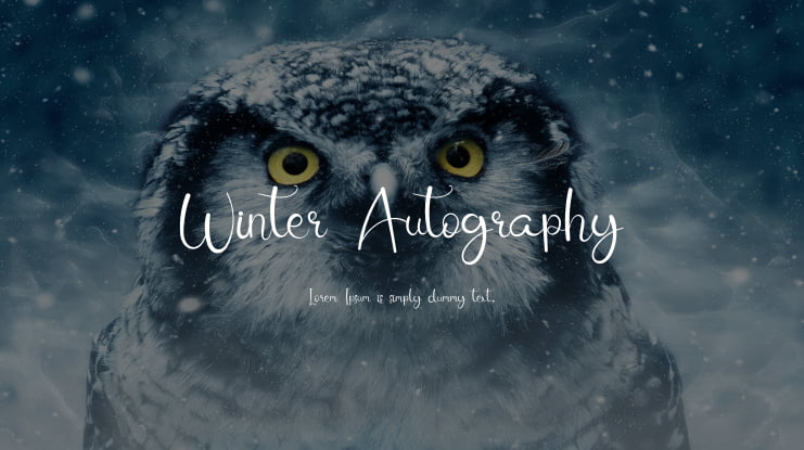 Winter Autography Font