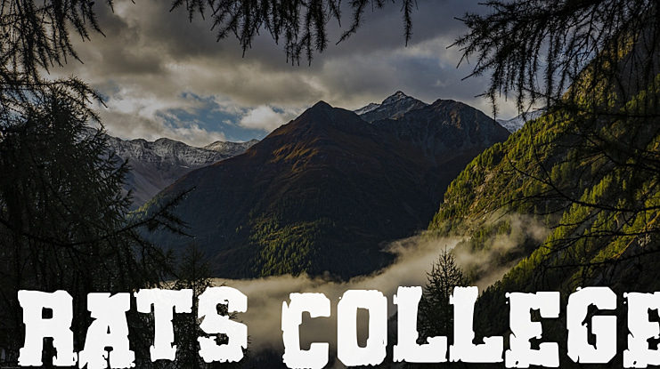 Rats College Font