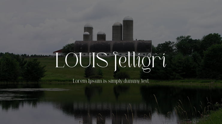 LOUIS felligri Font