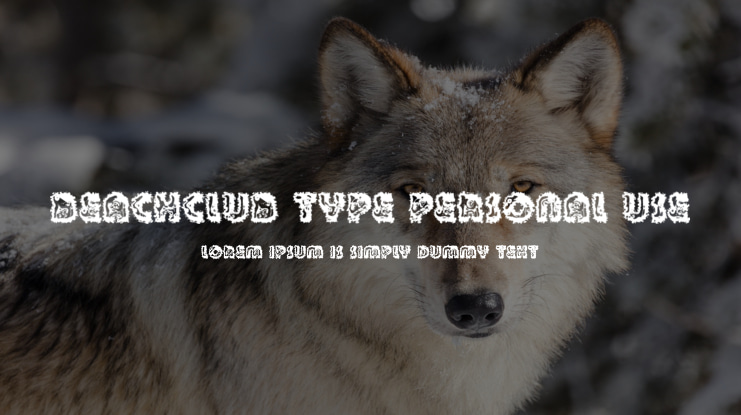BEACHCLUB TYPE PERSONAL USE Font