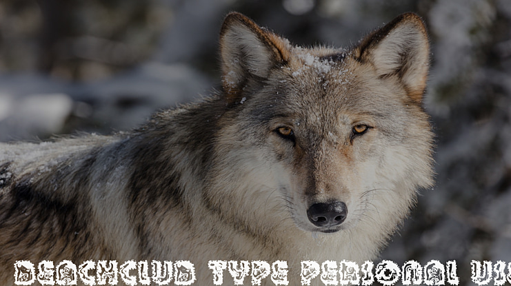 BEACHCLUB TYPE PERSONAL USE Font