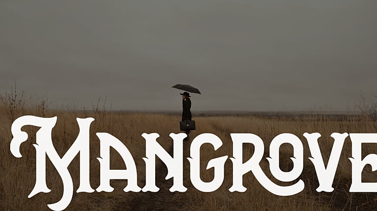 Mangrove Font