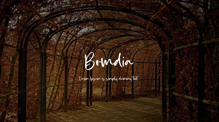 Bomdia Font