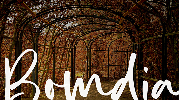 Bomdia Font