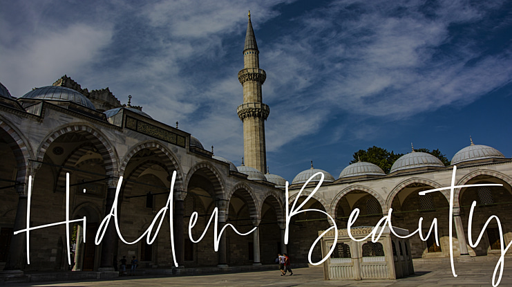 Hidden Beauty Font