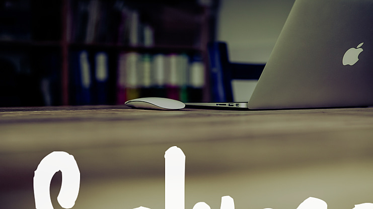 Splurge Font Family