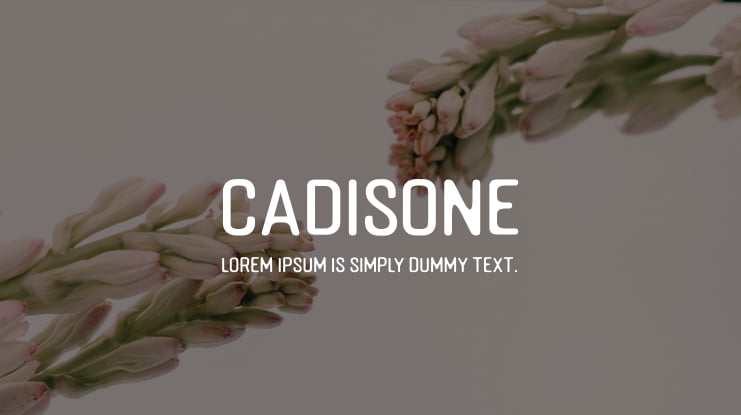 Cadisone Font Family