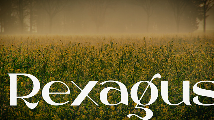 Rexagus Font