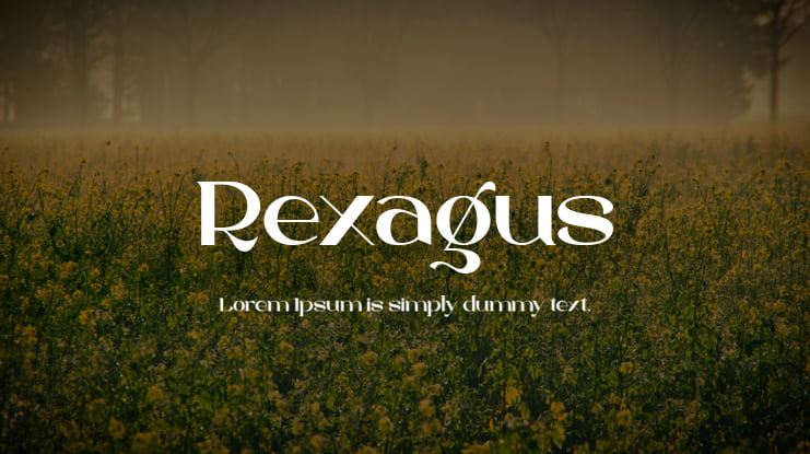 Rexagus Font