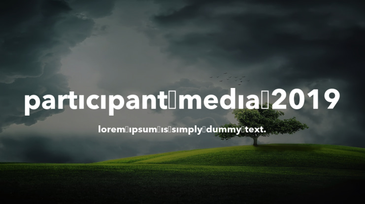 Participant Media 2019 Font