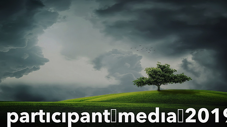 Participant Media 2019 Font
