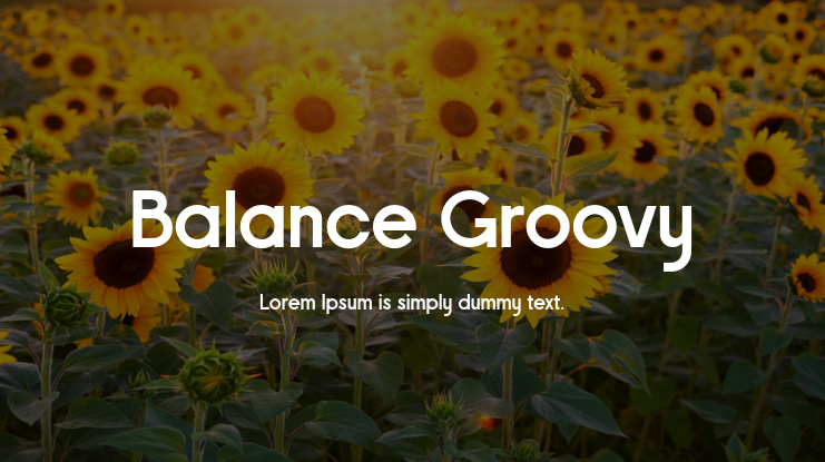 Balance Groovy Font Family