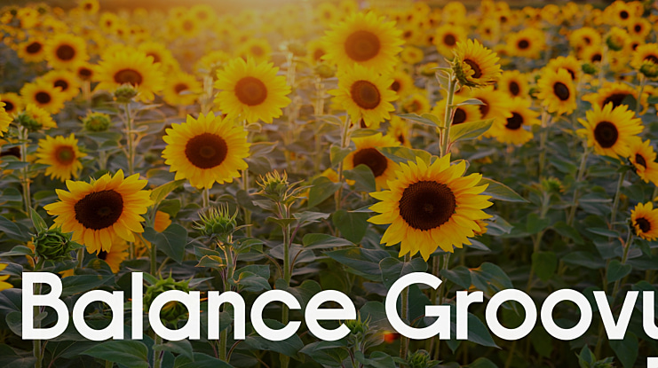 Balance Groovy Font Family