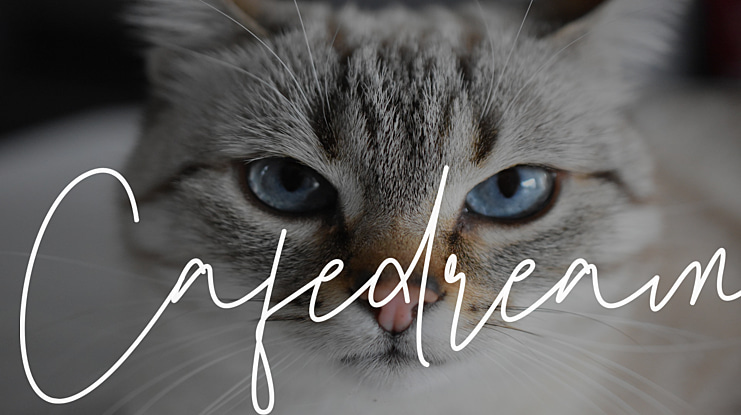 Cafedream Font