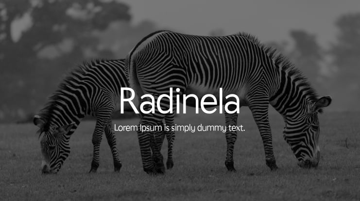 Radinela Font Family