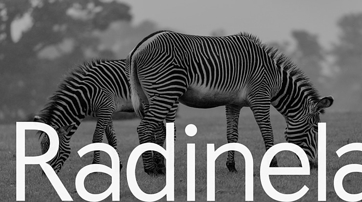 Radinela Font Family