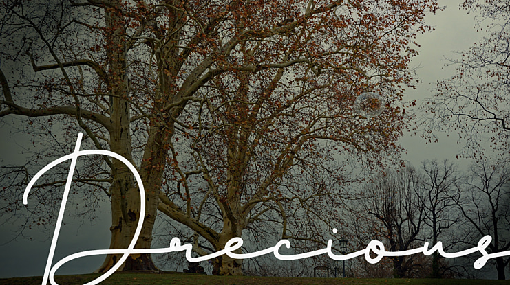 Precious Font