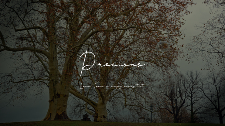 Precious Font