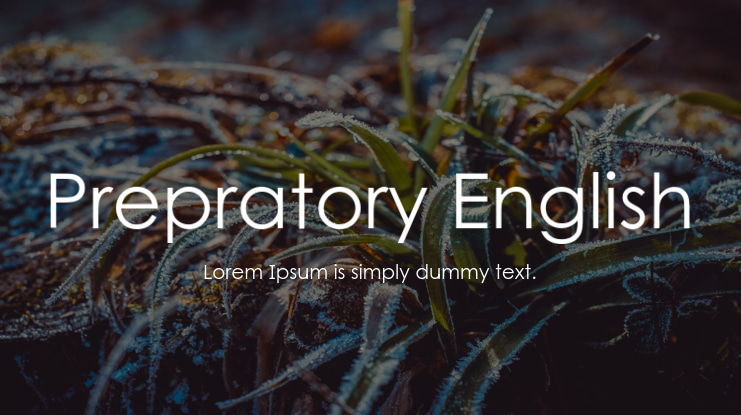 Prepratory English Font