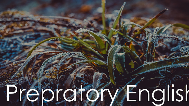Prepratory English Font