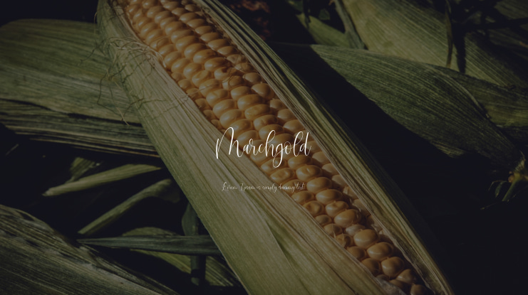 Marchgold Font