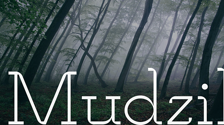 Mudzil Font Family