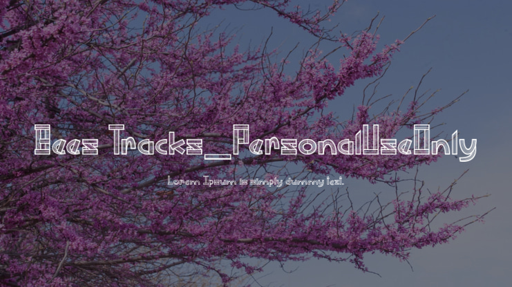 Bees Tracks_PersonalUseOnly Font