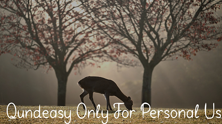 Qundeasy Only For Personal Use Font