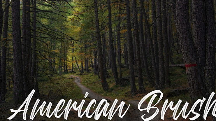 American Brush Font