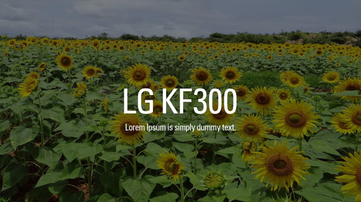 LG KF300 Font Family