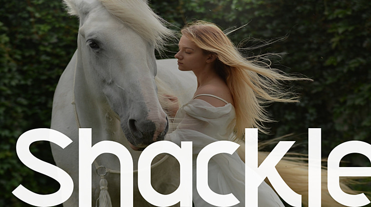 Shackle Font Family