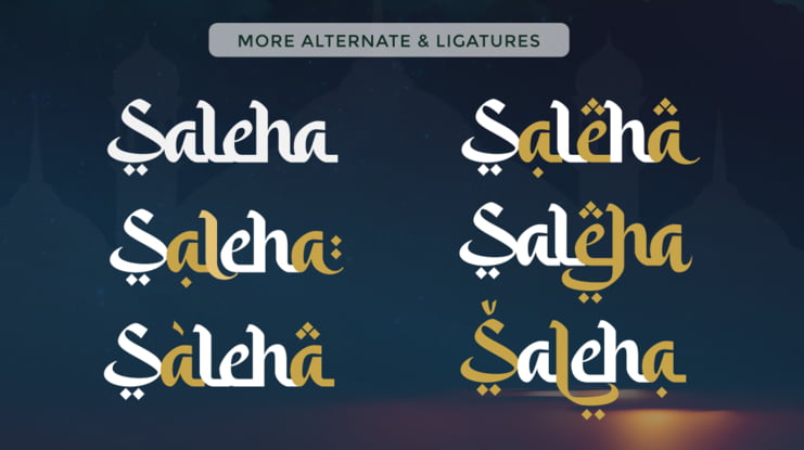 Saleha An Arabic Font Style