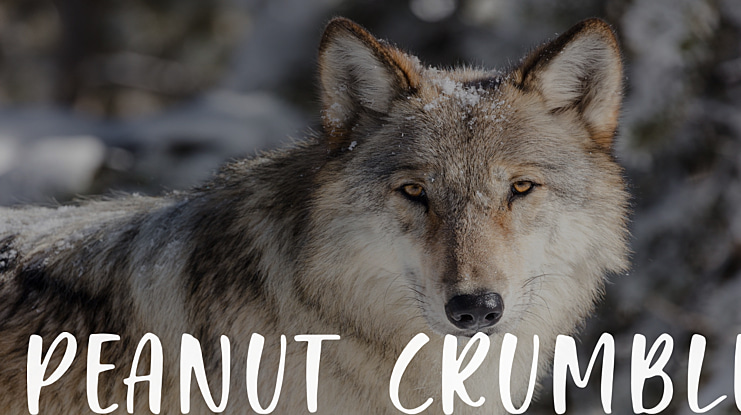 Peanut Crumble Font