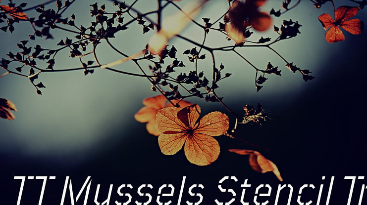 TT Mussels Stencil Trl Font Family