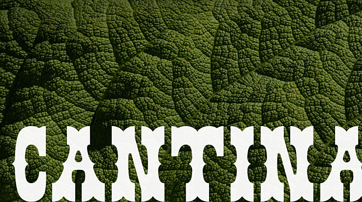 Cantina Font