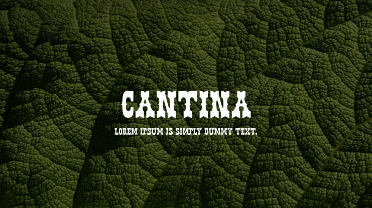 Cantina Font